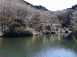 原生の森公園の写真のサムネイル写真12