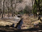 原生の森公園の写真のサムネイル写真15