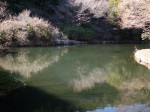 原生の森公園の写真のサムネイル写真16