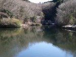 原生の森公園の写真のサムネイル写真18