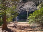 原生の森公園の写真のサムネイル写真21