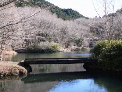 原生の森公園の写真23