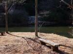 原生の森公園の写真のサムネイル写真27