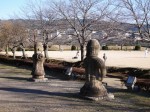 柏谷公園の写真のサムネイル写真12