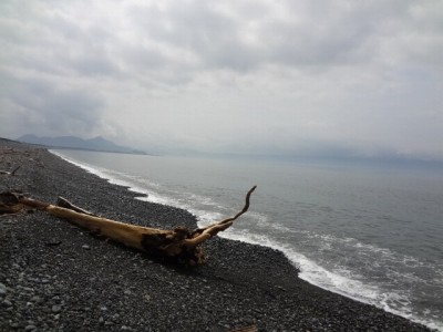 片浜公園の写真