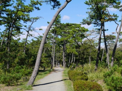 片浜公園の写真15