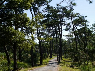 片浜公園の写真17