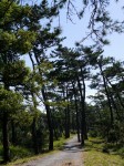 片浜公園の写真のサムネイル写真17