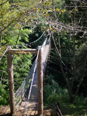 駿河平自然公園の写真3