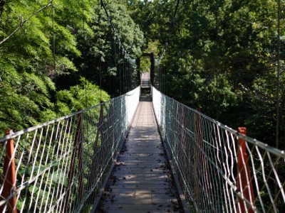 駿河平自然公園の写真4