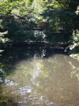 駿河平自然公園の写真のサムネイル写真4