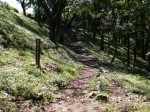 駿河平自然公園の写真のサムネイル写真16