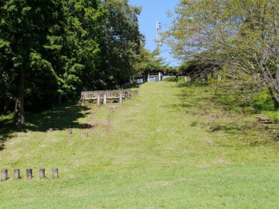 駿河平自然公園の写真18