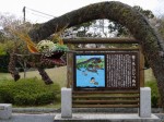 桜ヶ池の写真のサムネイル写真2