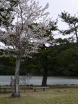 桜ヶ池の写真のサムネイル写真3