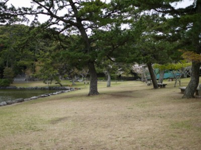 桜ヶ池の写真8
