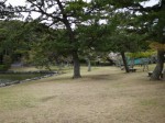 桜ヶ池の写真のサムネイル写真7