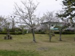 桜ヶ池の写真のサムネイル写真9