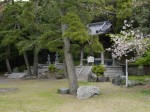 桜ヶ池の写真のサムネイル写真10