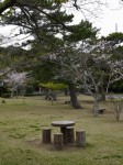 桜ヶ池の写真のサムネイル写真11