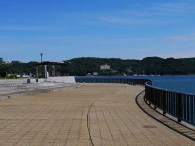 まどが浜海遊公園の写真6