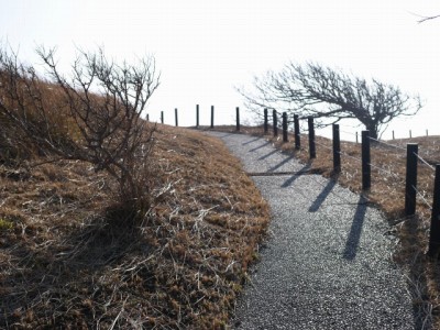 奥石廊ユウスゲ公園の写真3