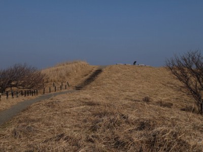 奥石廊ユウスゲ公園の写真7