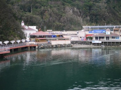 下田海中水族館の写真15