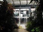 下賀茂熱帯植物園の写真のサムネイル写真3