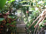 下賀茂熱帯植物園の写真のサムネイル写真4