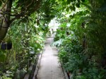 下賀茂熱帯植物園の写真のサムネイル写真13
