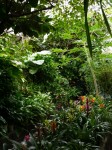 下賀茂熱帯植物園の写真のサムネイル写真21
