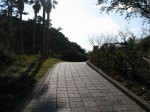 石廊崎の写真のサムネイル写真4