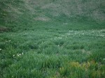 爪木崎の写真のサムネイル写真29