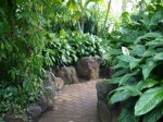 爪木崎花園の写真のサムネイル写真5