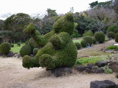 爪木崎花園の写真8