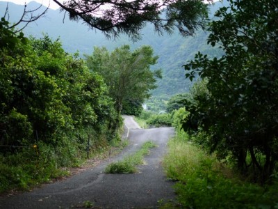 北山の棚田の写真4