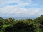 満天の星と海　瑠璃花の写真のサムネイル写真3