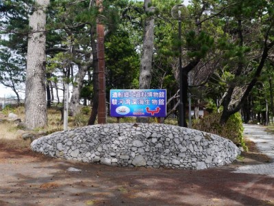 戸田造船郷土資料博物館・駿河湾深海生物館の写真5