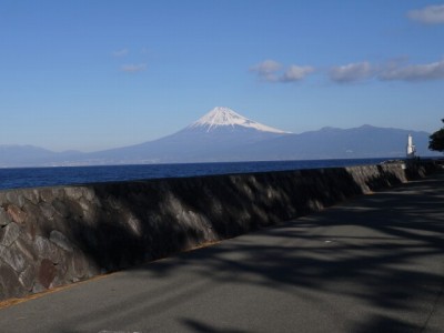 御浜岬公園の写真14