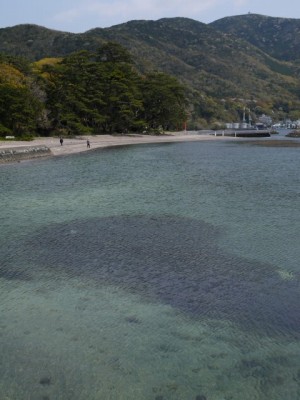 御浜岬公園の写真36