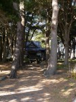 諸口神社の写真のサムネイル写真6