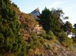 大瀬神社の写真のサムネイル写真9