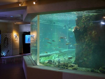 淡島水族館の写真