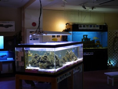 淡島水族館の写真5