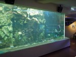 淡島水族館の写真のサムネイル写真13