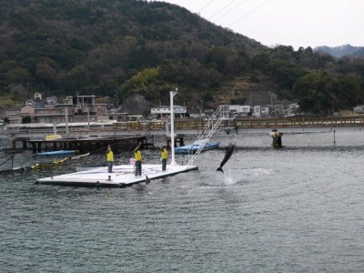 淡島水族館の写真17