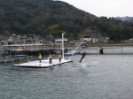 淡島水族館の写真のサムネイル写真16