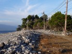 西伊豆歩道大瀬崎コースの写真のサムネイル写真3