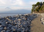 西伊豆歩道大瀬崎コースの写真のサムネイル写真4